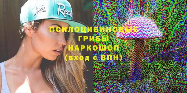 герыч Алексин