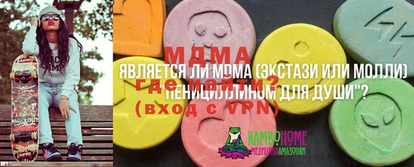 тгк Лагань