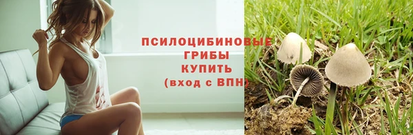 2c-b Вязники
