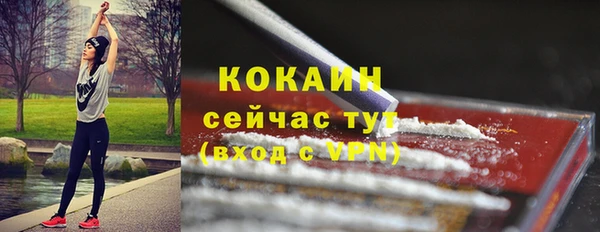 тгк Лагань