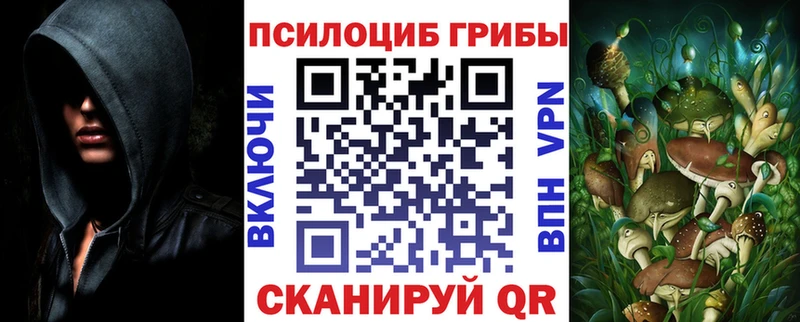 Галлюциногенные грибы ЛСД Александров